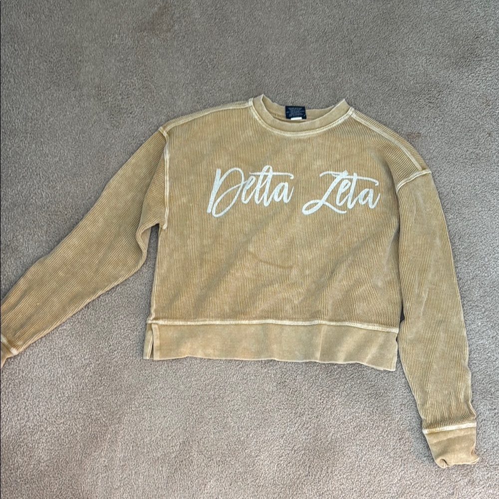 Delta Zeta Tan Cropped Sweatshirt